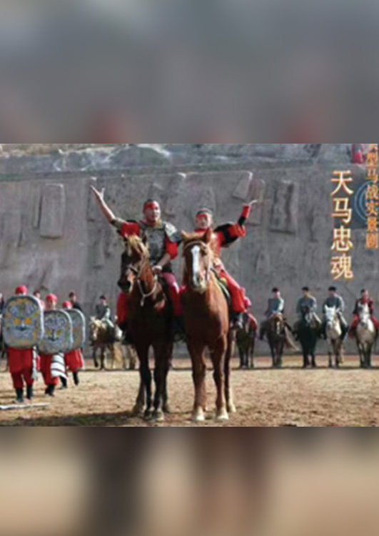 《天马忠魂》