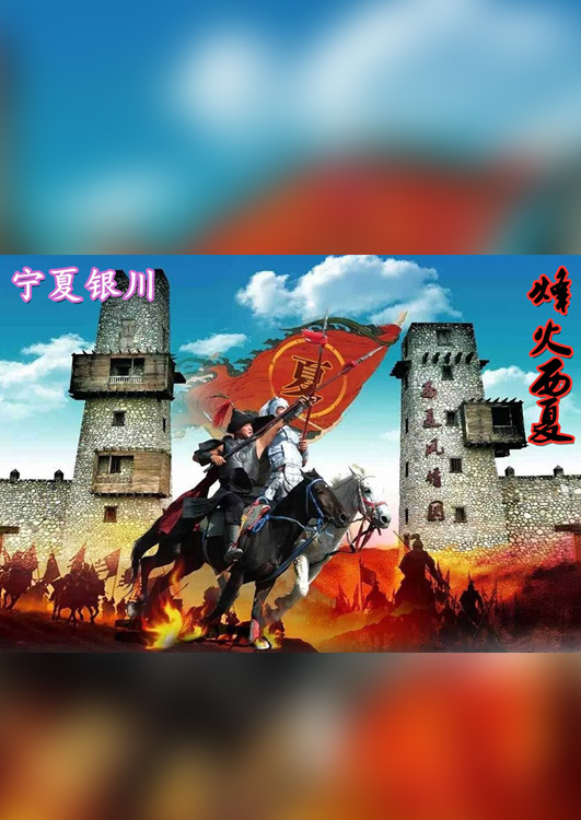 《烽火西夏》